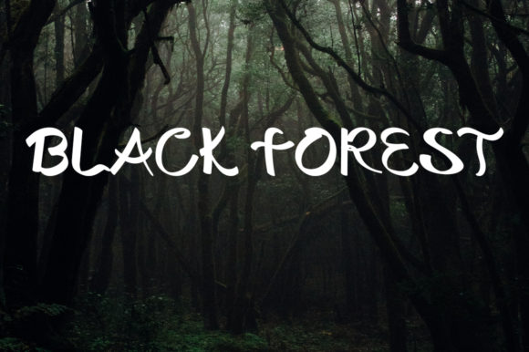 Black Forest: A Script Amp for Real-World Design