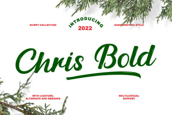 Chris Bold: A Script Amp Review
