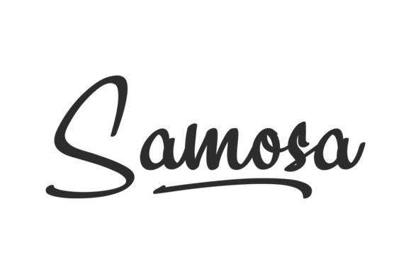 Samosa: Elegant Script Font for Business